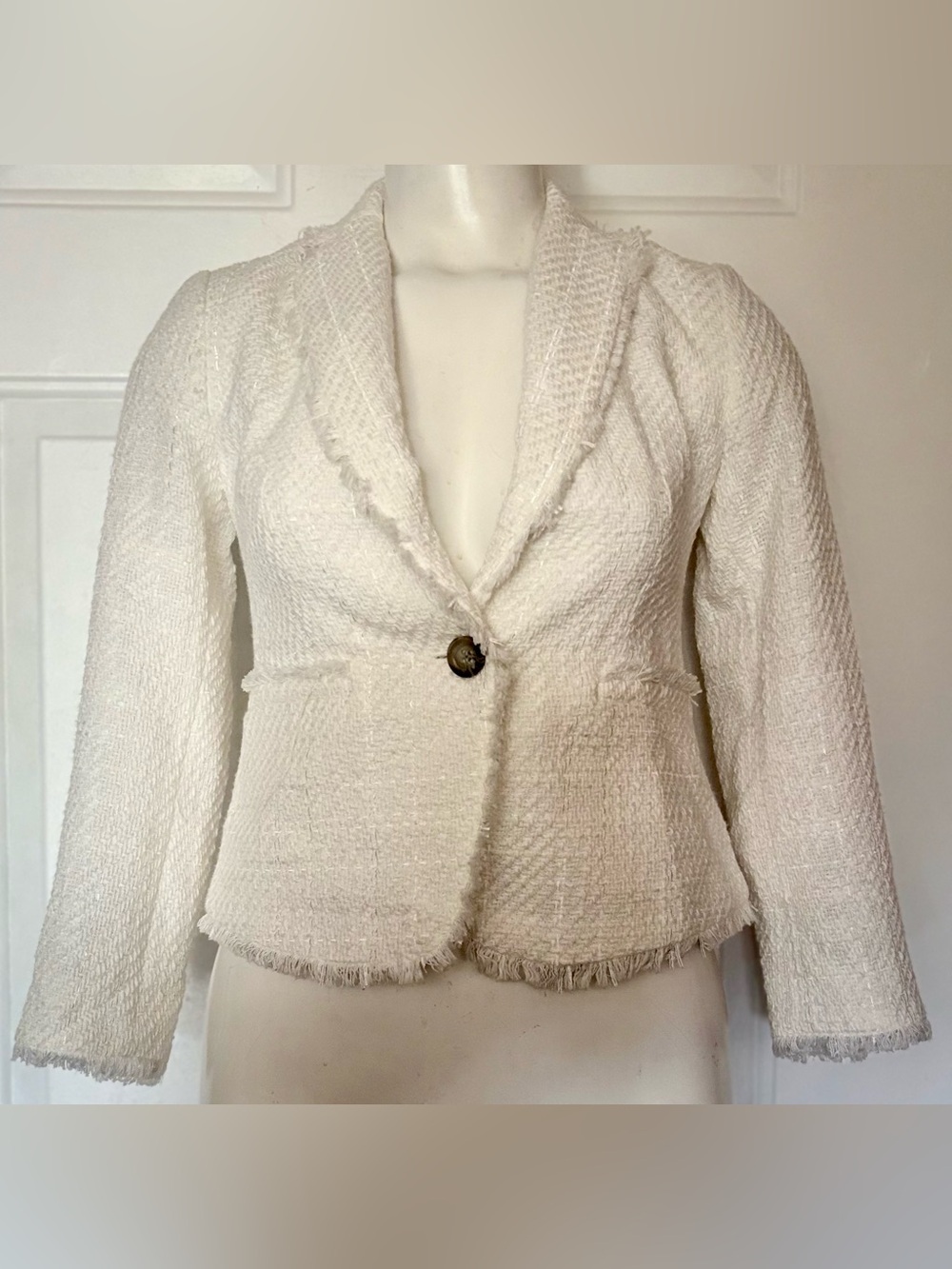 Tweed blazer, Ann Taylor Petite, single-button fringe-trim jacket Women’s size 0